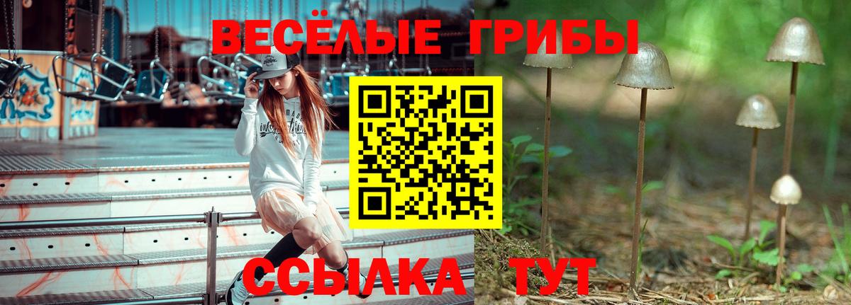Псилоцибиновые грибы мухоморы Чайковский