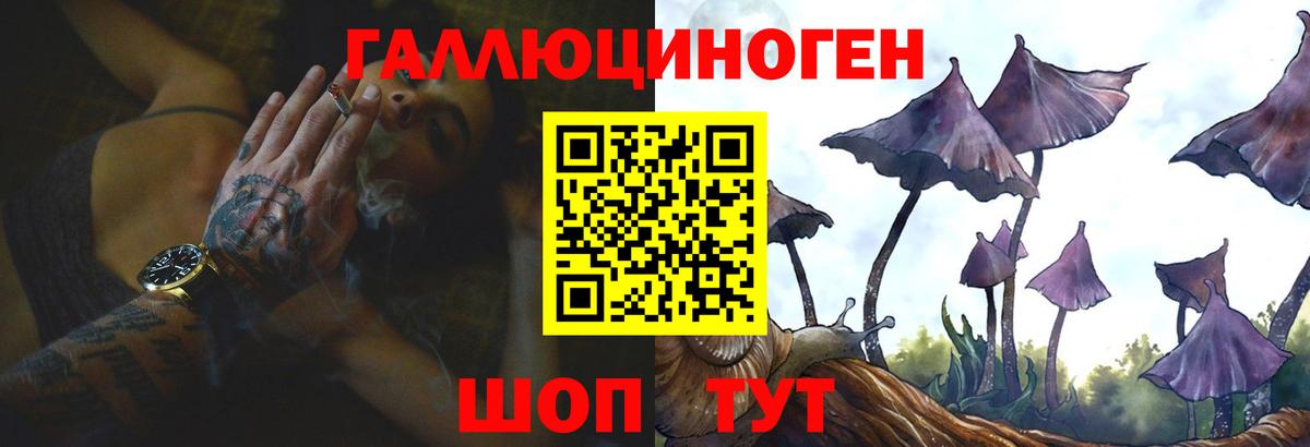 закладки  Галлюциногенные грибы MAGIC MUSHROOMS  Вход с VPN  Чайковский 